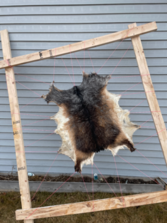 Animal tanning services