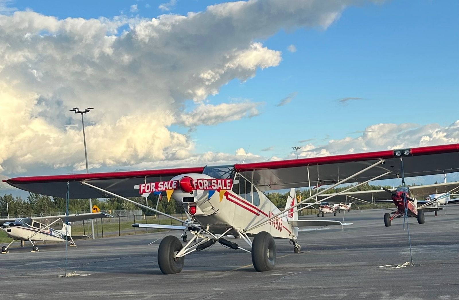 PA 18 Supercub