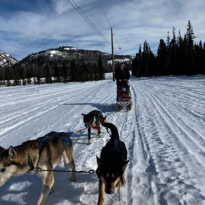 Sled Dog Team & Gear, Mackenzie River Line